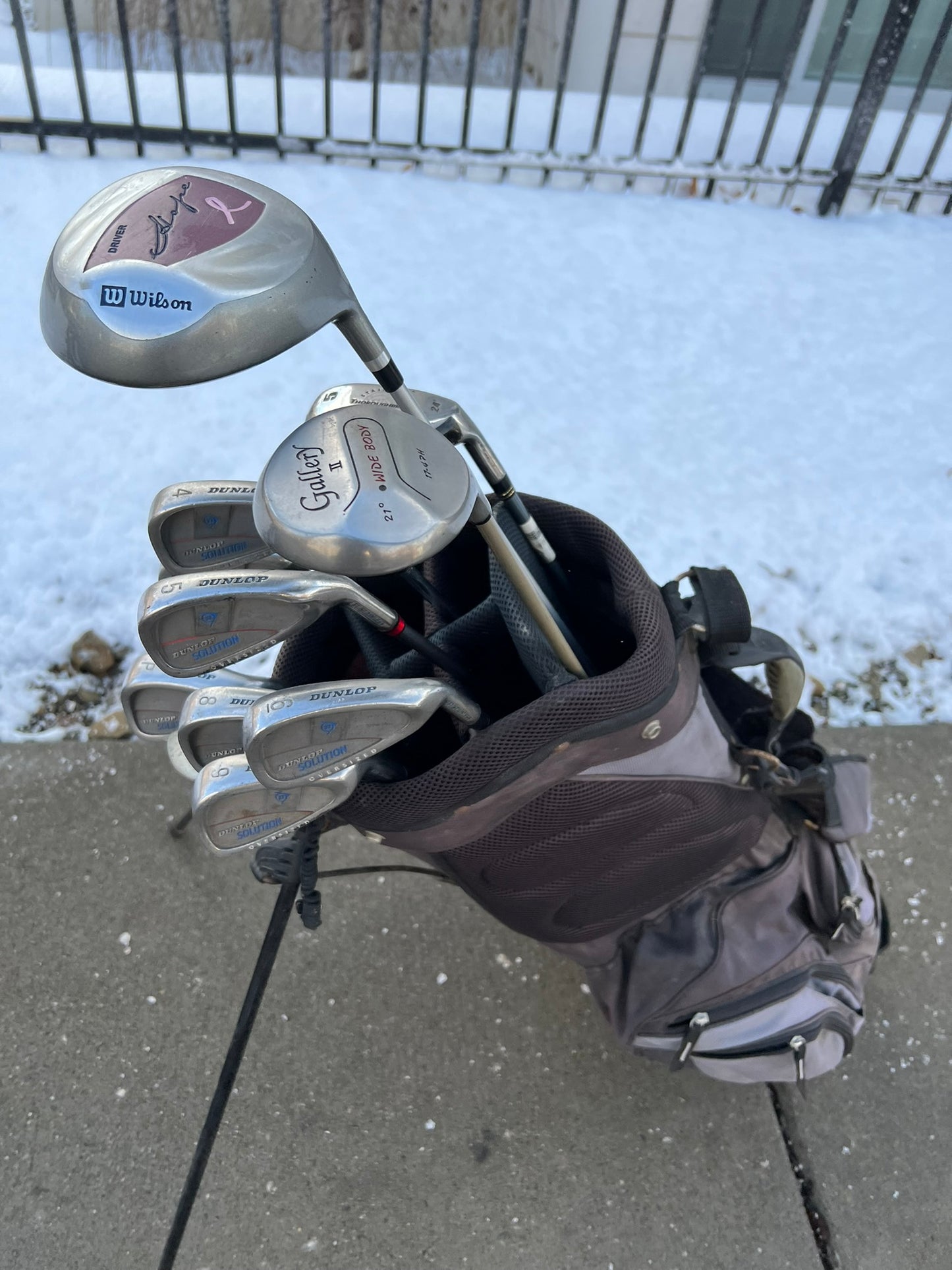 Women's Golf Set + Bag - Wilson, Dunlop - Mixed Set