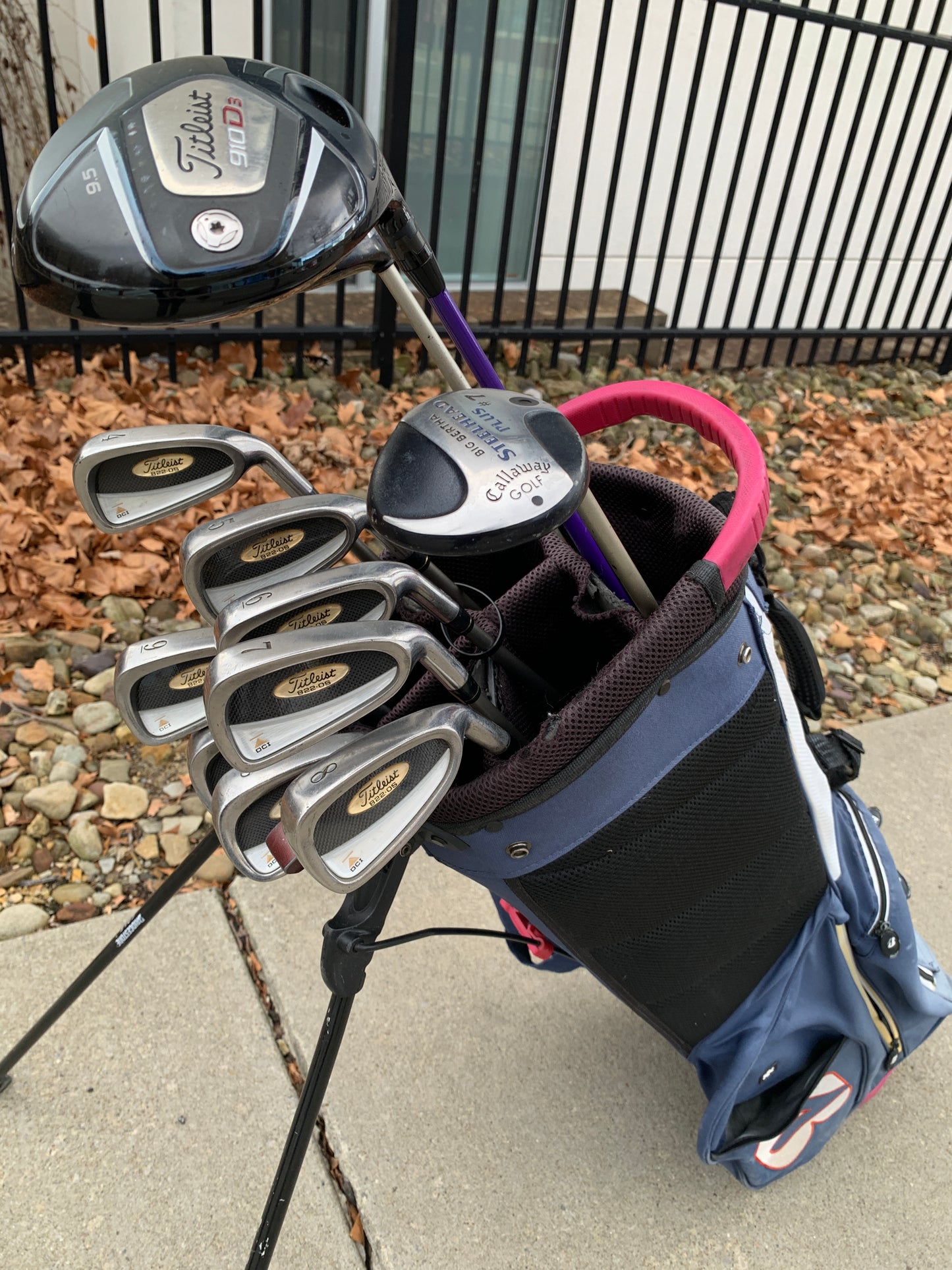 Women's Titleist Golf Set + Bag